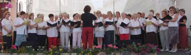 Gemischter Weinstadtchor