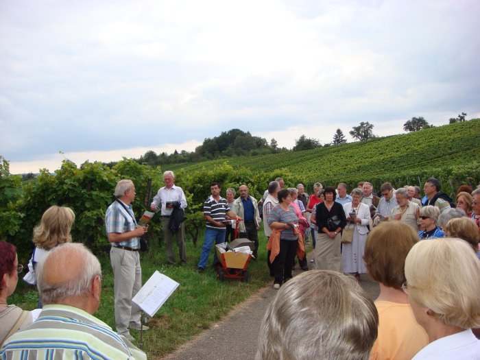 Durch die Weinberge