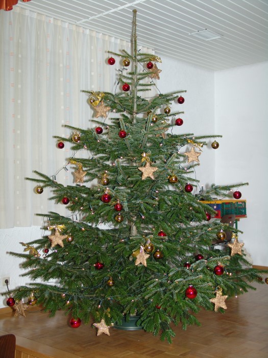Der Weihnachtsbaum