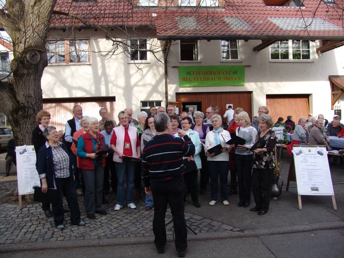 Gemischer Chor