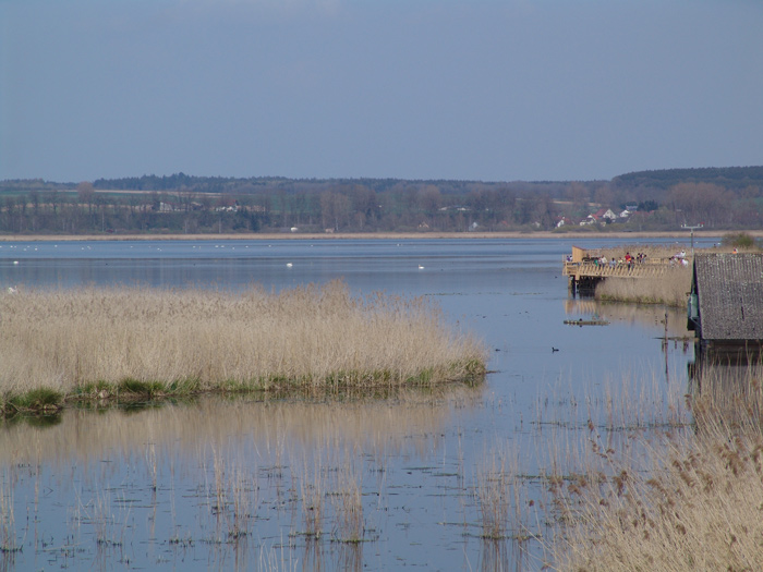 Der Federsee Bach Buchau