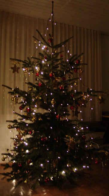 Der Weihnachtsbaum