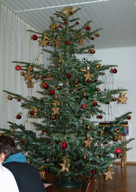 Der Weihnachtsbam