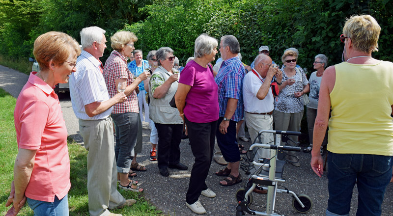 Weinprobe in den Weinbergen oberhalb Neipperg