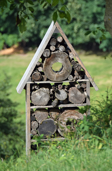 Insektenhotel bei der Lwensteiner Platte