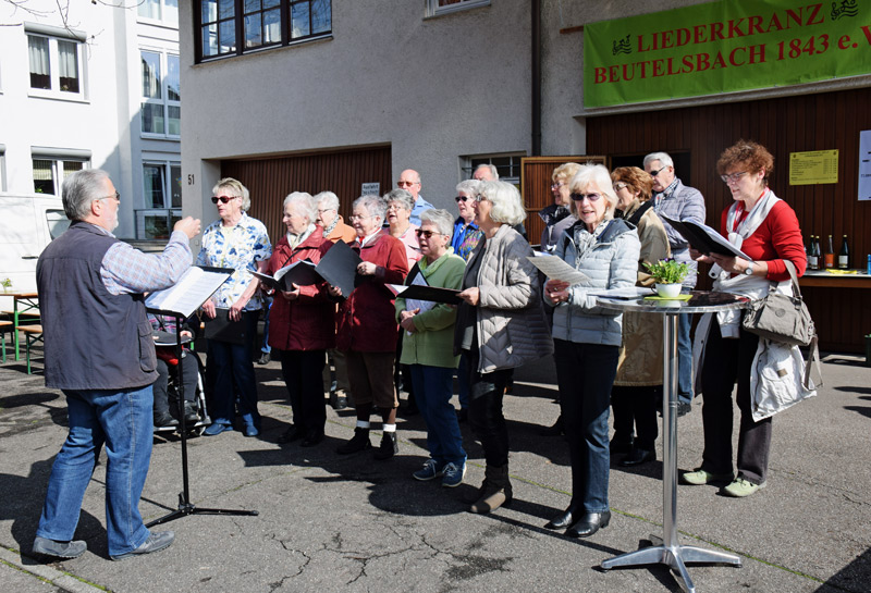 Gemischter Chor