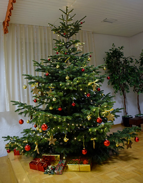 Der Weihnachtsbaum